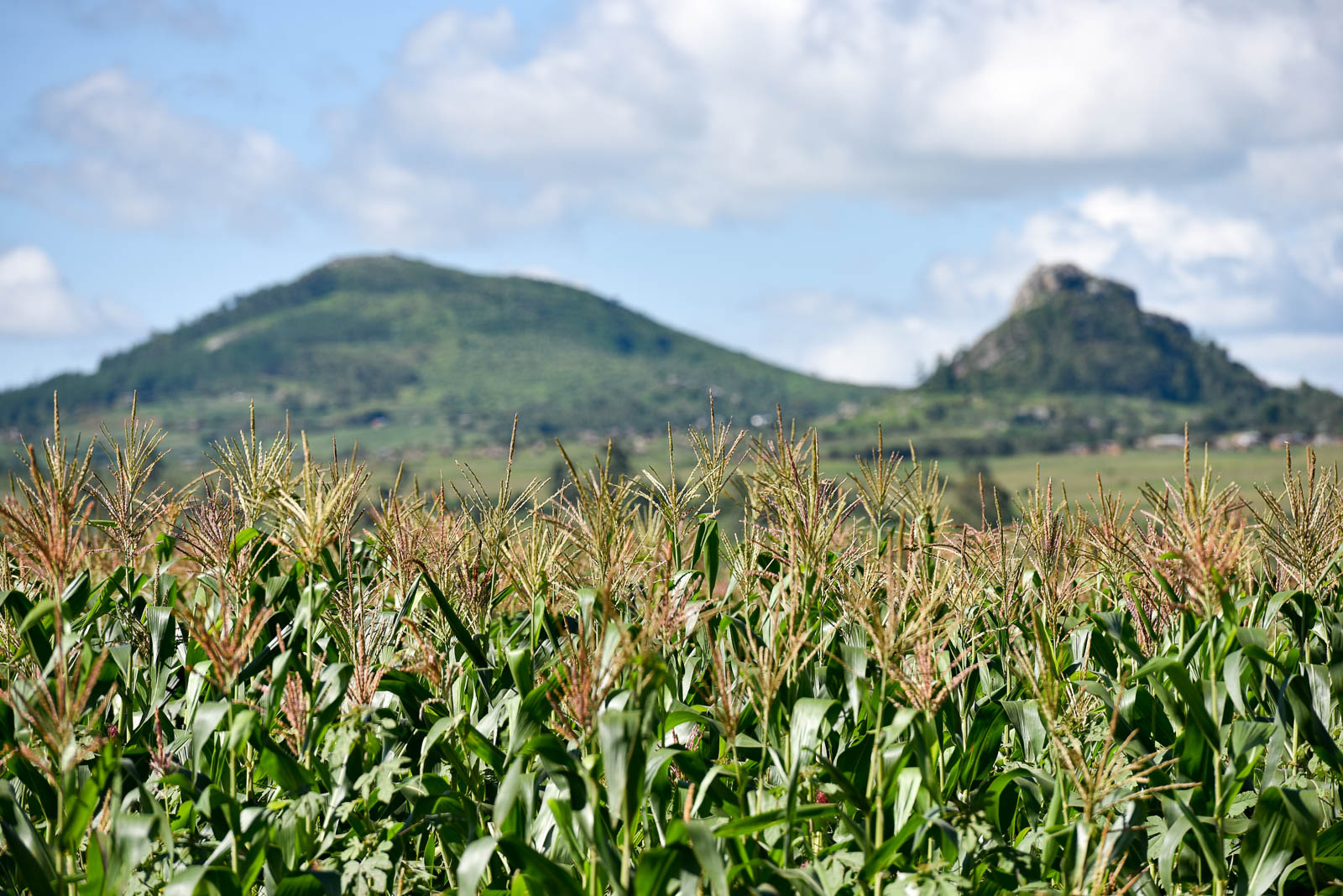 26793911675_01edce2e3e_o